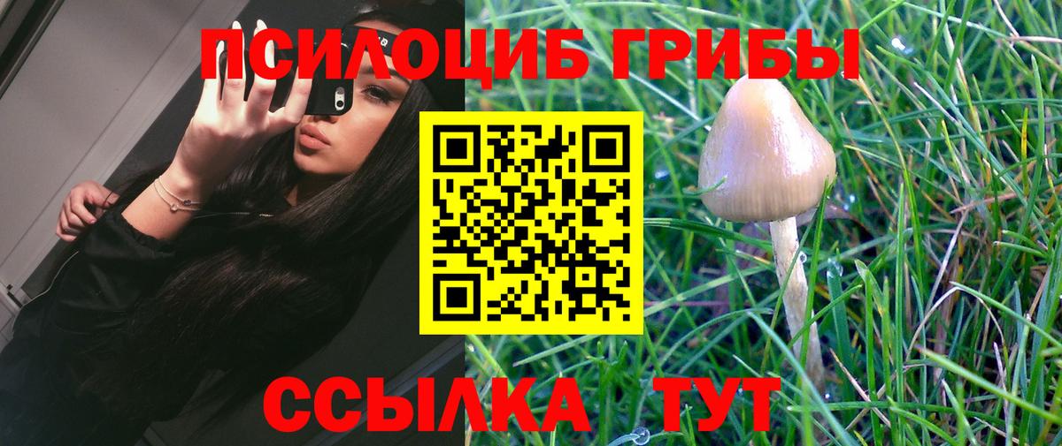 Псилоцибиновые грибы прущие грибы Ирбит