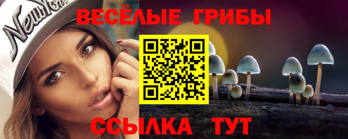 где продают наркотики  Псилоцибиновые грибы MAGIC MUSHROOMS  Вход с VPN  Ирбит 